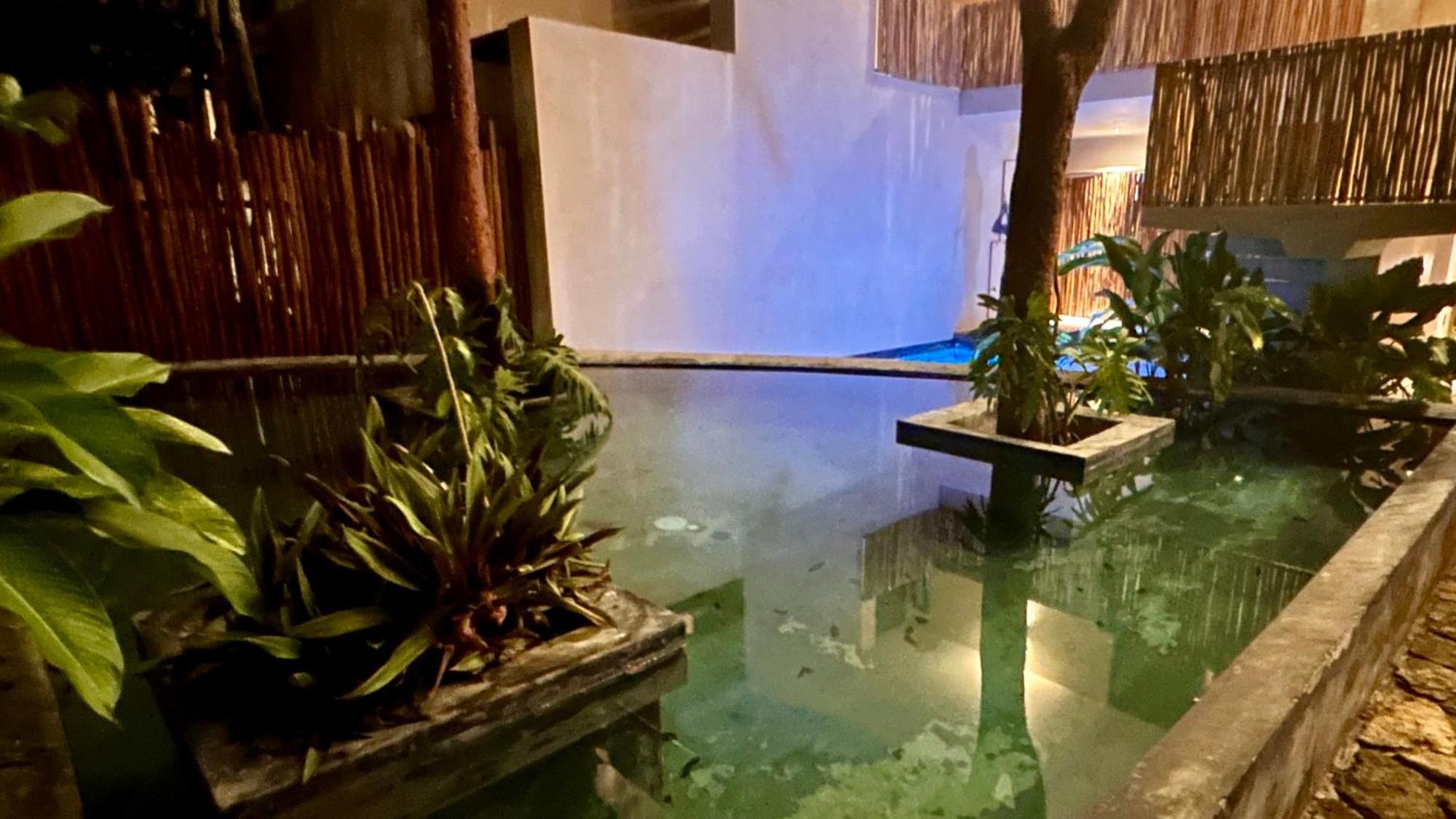 Condohotel Tsonot, En Luum Zama Τουλούμ Εξωτερικό φωτογραφία